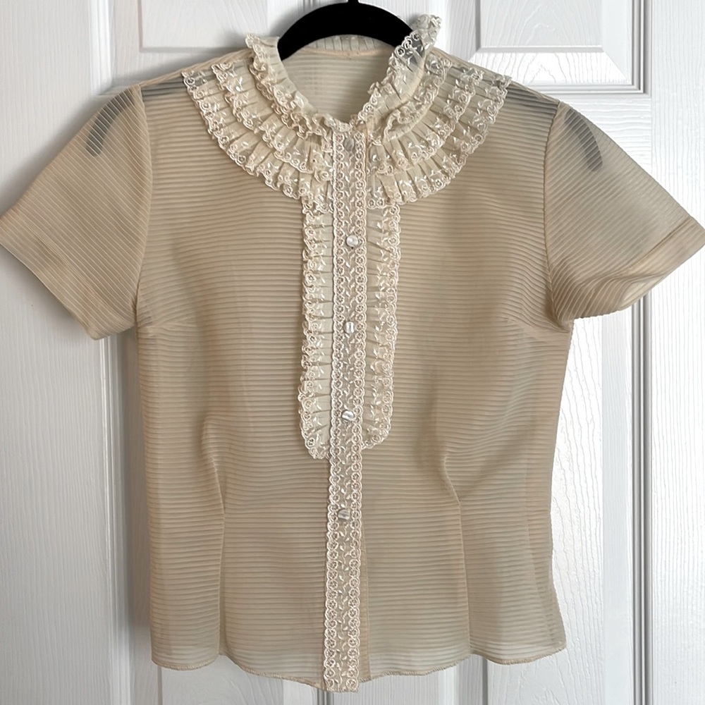 Gorgeous sheer ruffle front blouse